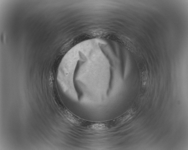 X0000060280279200511181330