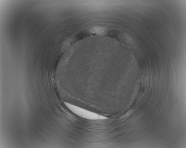 X0000060280285200511181330