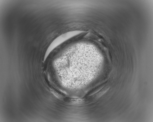 X0000060280288200511181330