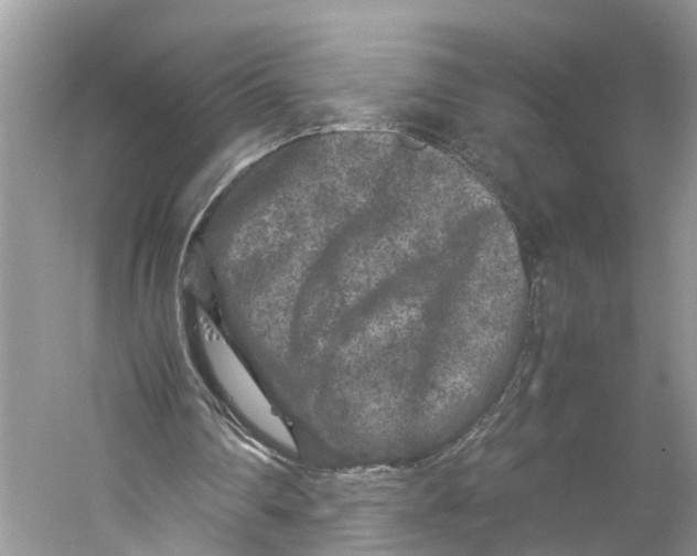 X0000060280290200511181330