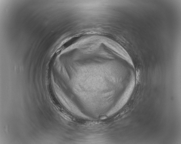 X0000060280291200511181330