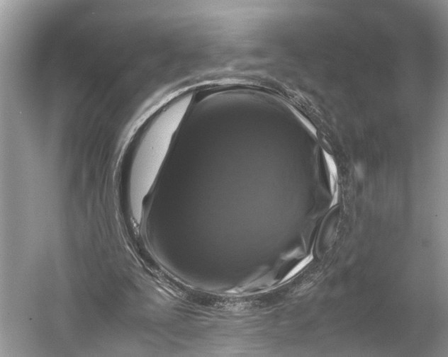 X0000060280295200511181329