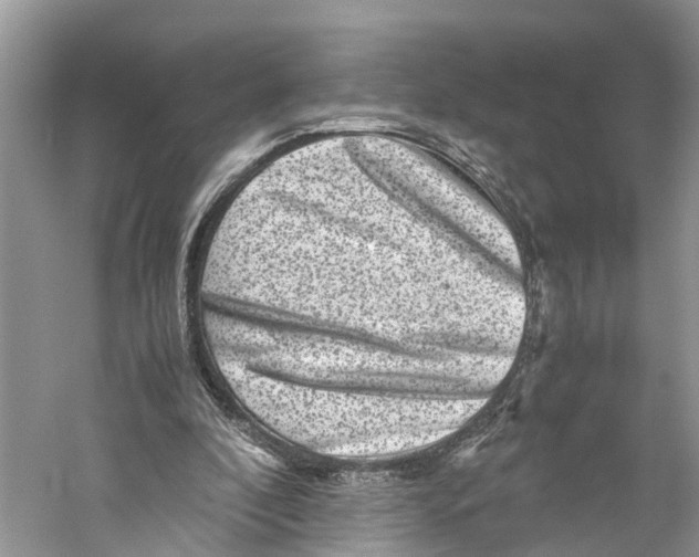 X0000060280296200511181329