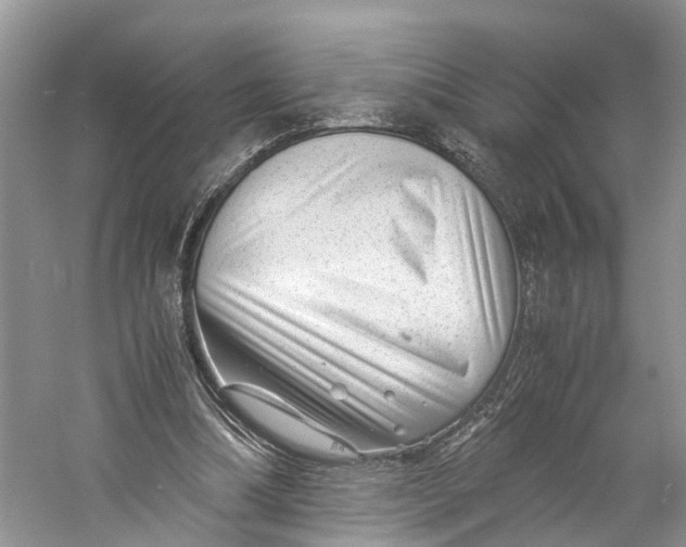 X0000060280298200511181329