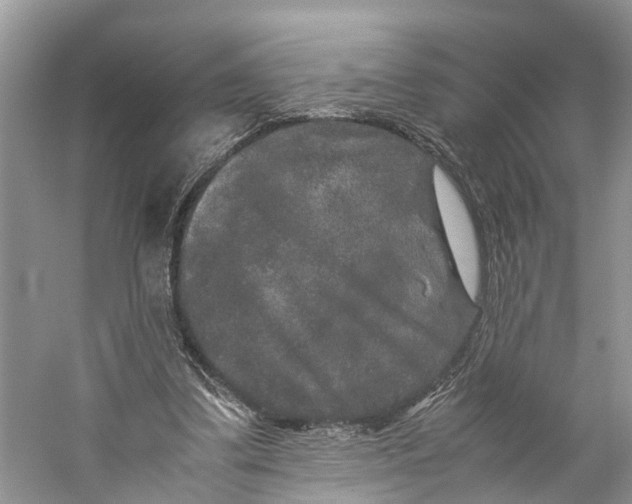X0000060280299200511181329