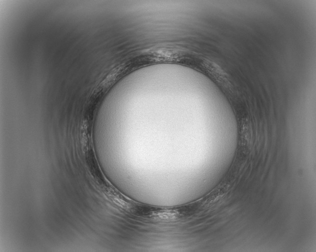 X0000060280318200511181329