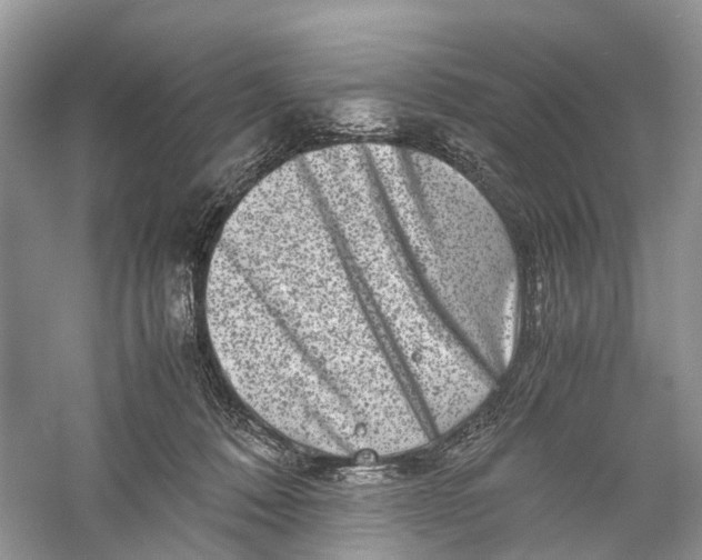 X0000060280320200511181329