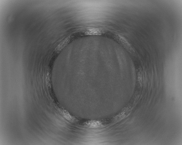 X0000060280322200511181329
