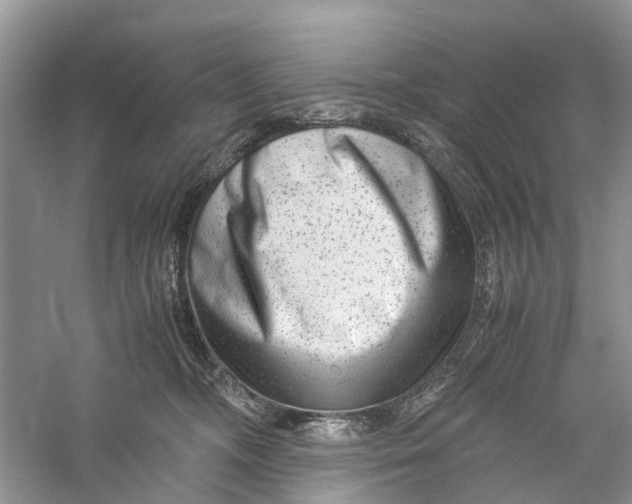 X0000060280326200511181329
