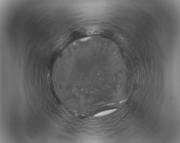 X0000060280327200511181329