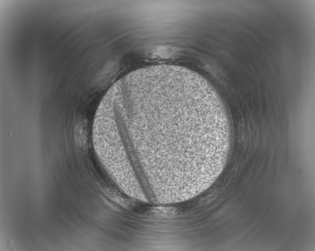X0000060280328200511181329