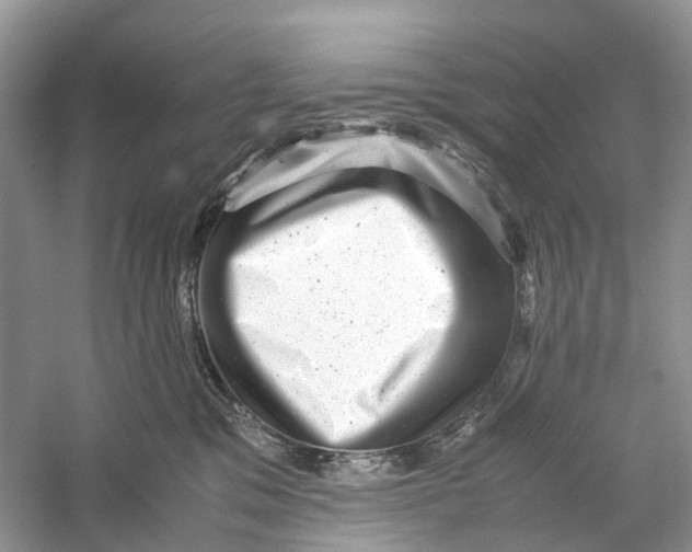 X0000060280329200511181329