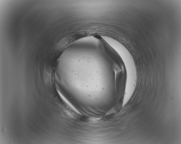 X0000060280333200511181329