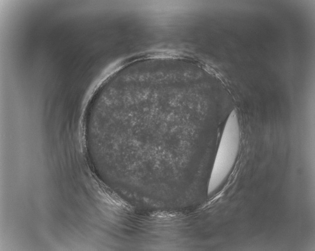 X0000060280343200511181328
