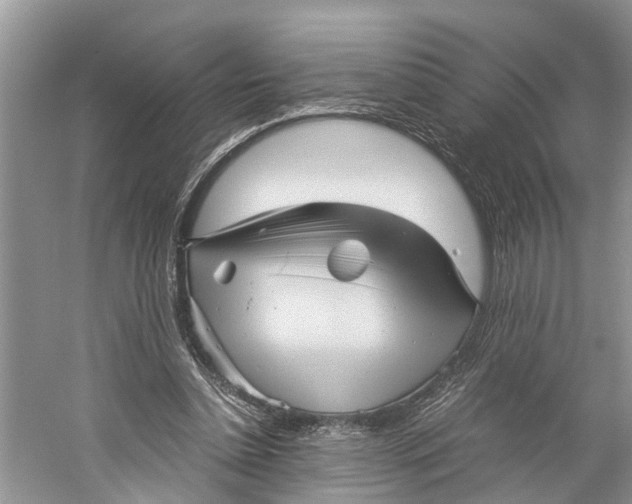 X0000060280348200511181328