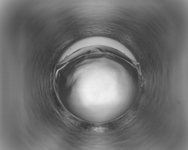 X0000060280360200511181328