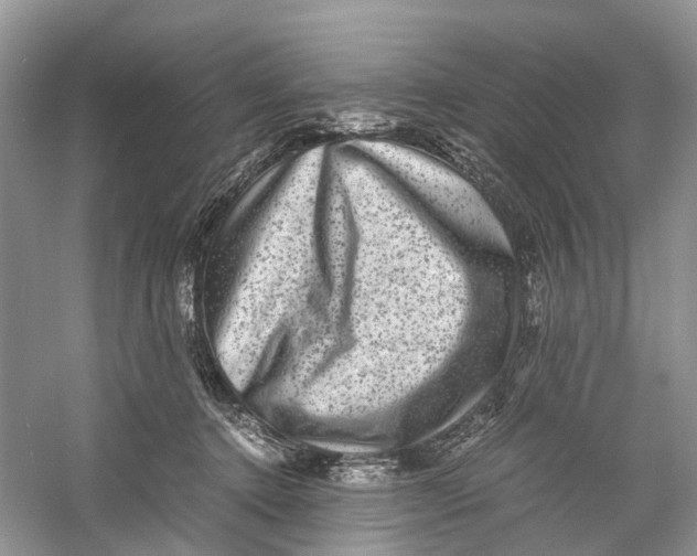 X0000060280368200511181328