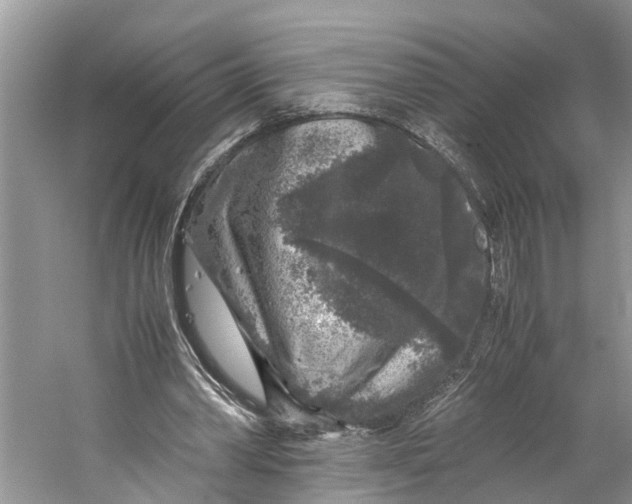 X0000060280390200511181328