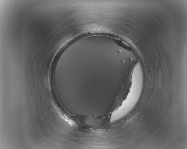 X0000060280391200511181328