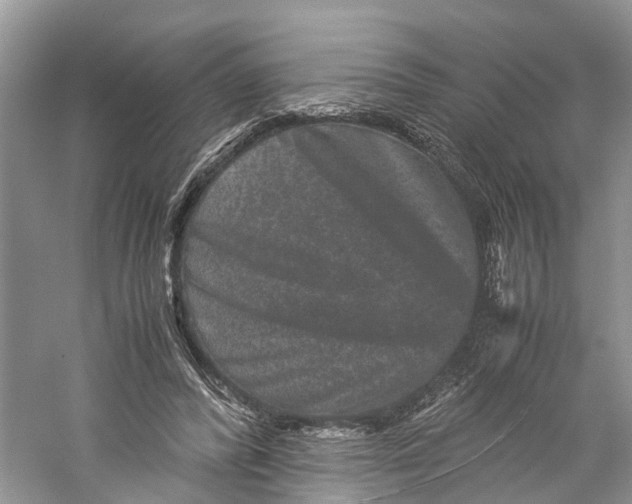 X0000060280400200511181328