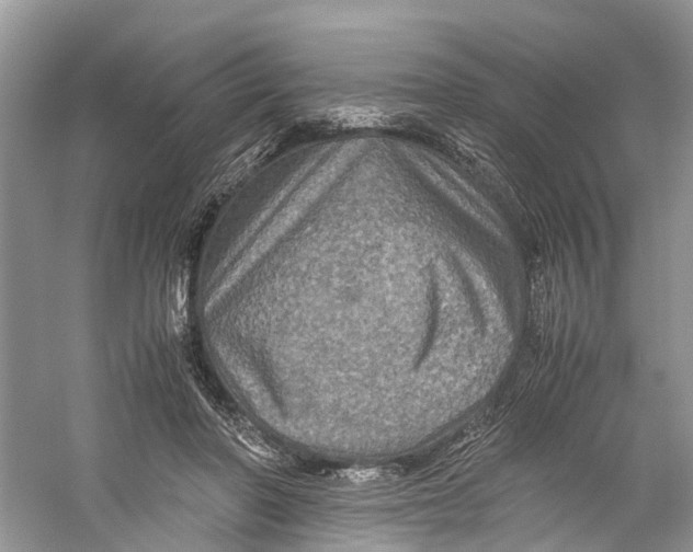 X0000060280406200511181328