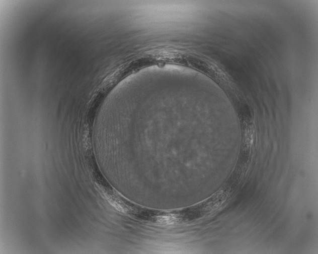 X0000060280411200511181327