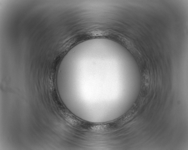X0000060280422200511181327