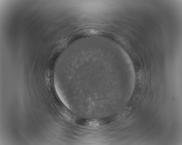 X0000060280423200511181327