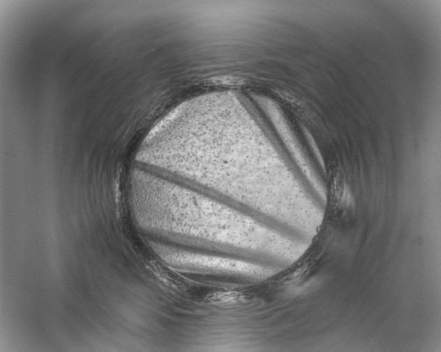 X0000060280424200511181327