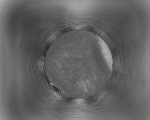 X0000060280427200511181327