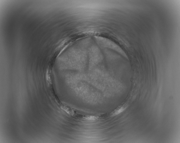 X0000060280432200511181327