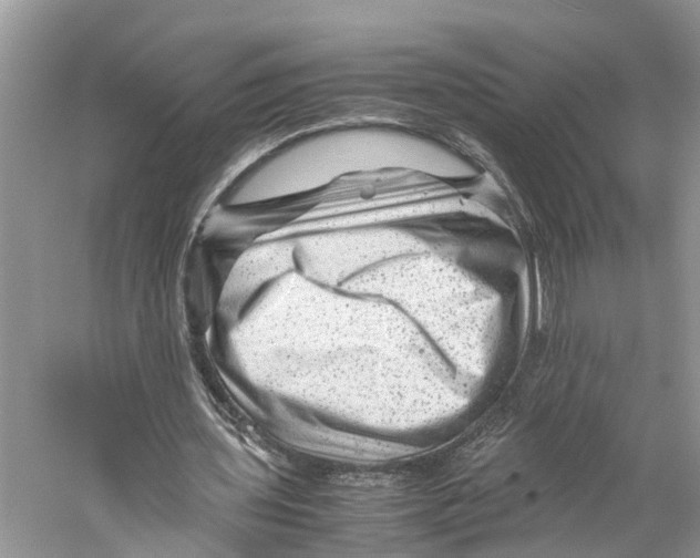 X0000060280435200511181326