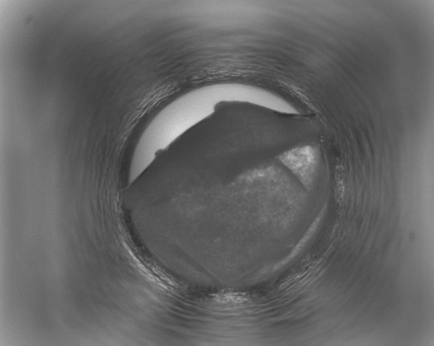 X0000060280451200511181327