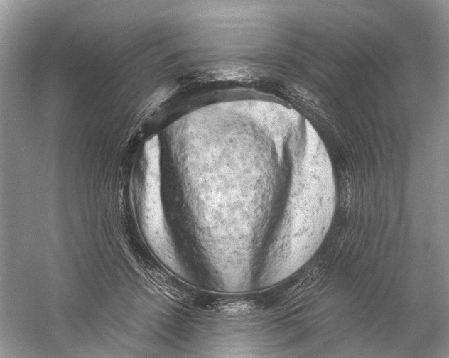 X0000060280456200511181327