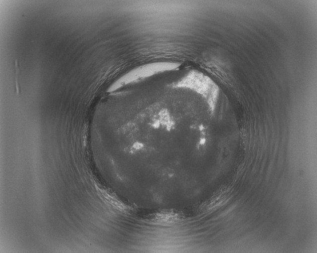 X0000060280458200511181327