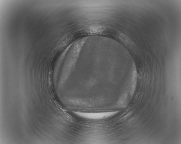 X0000060280462200511181327