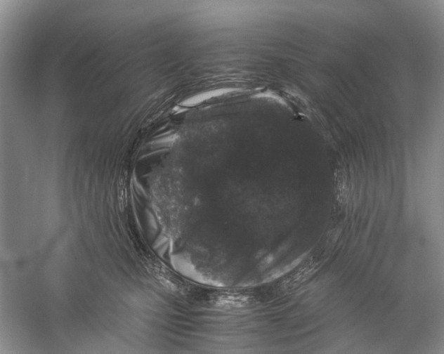 X0000060280471200511181327