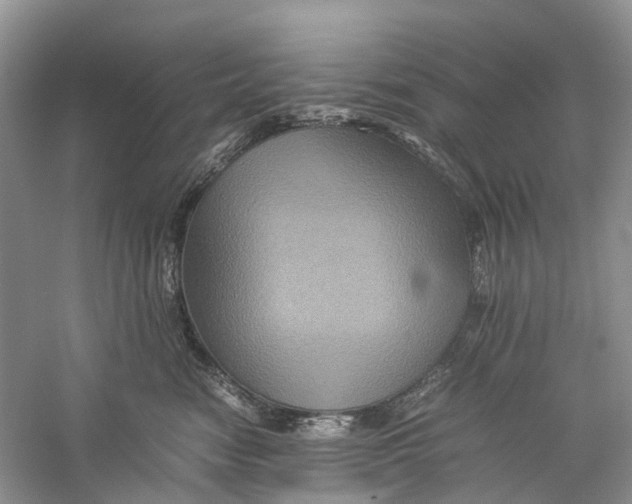 X0000060280474200511181327