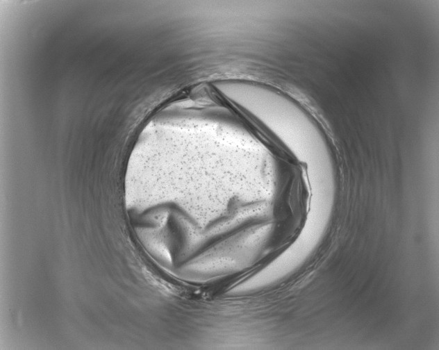 X0000060280481200511181326