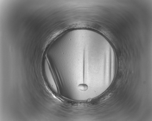 X0000060280485200511181326