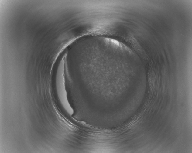 X0000060280488200511181326