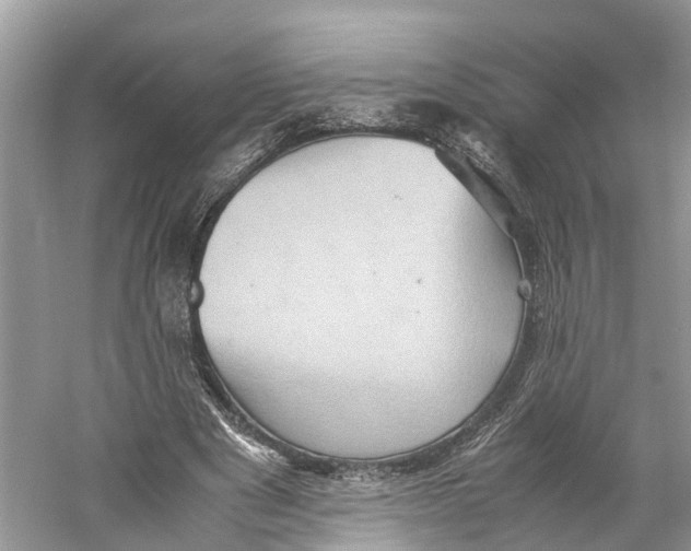 X0000060280489200511181326