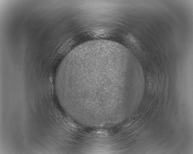X0000060280506200511181326