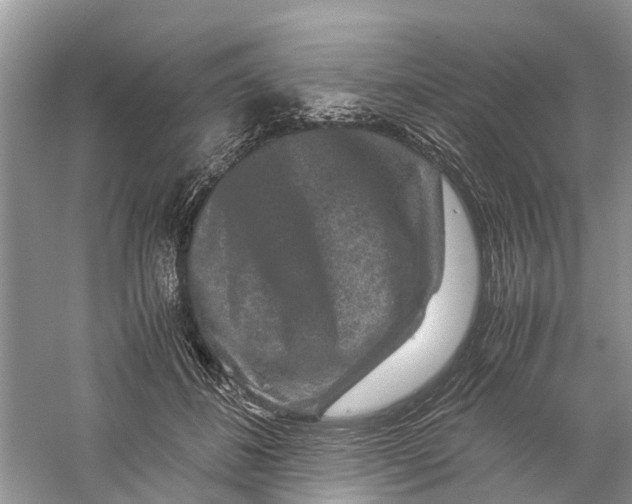 X0000060280508200511181326