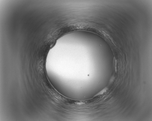 X0000060280509200511181326