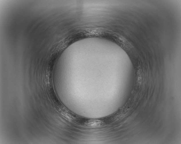 X0000060280514200511181326