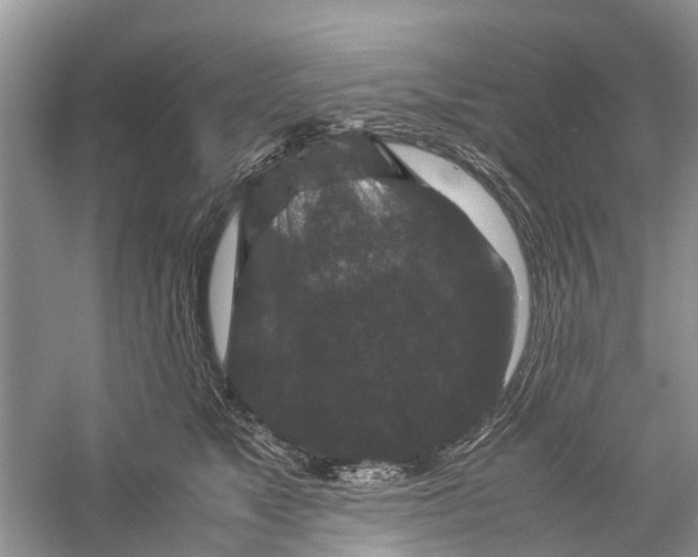 X0000060280517200511181326