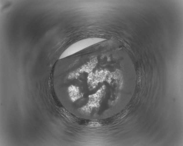 X0000060280519200511181326