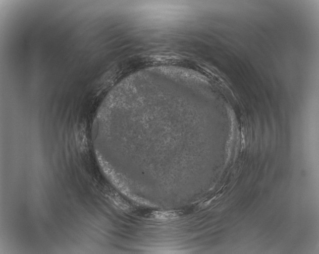 X0000060280520200511181326