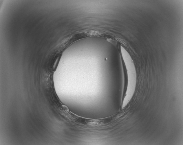 X0000060280521200511181326